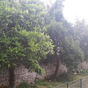 Apartment Kala, Split